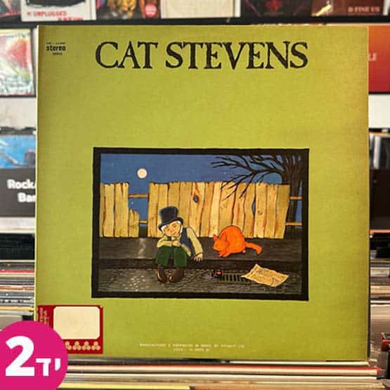 Cat Stevens