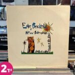 edie brickell