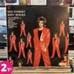 Rod-Stewart-Body-Wishes