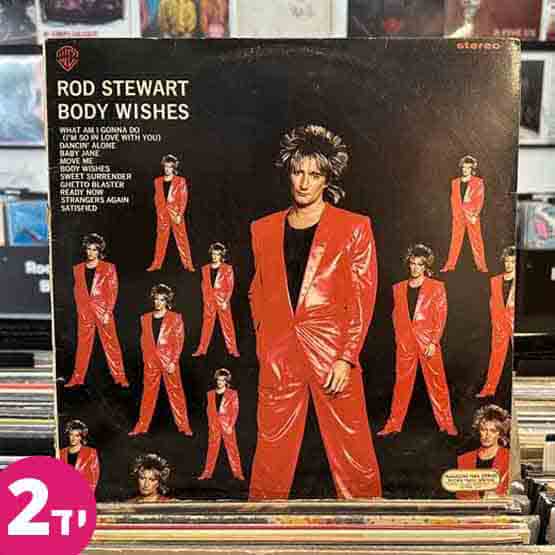 Rod-Stewart-Body-Wishes
