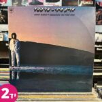 אריק סיני - צל כבד