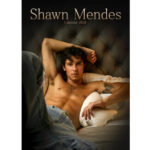 לוח שנה שון מנדס