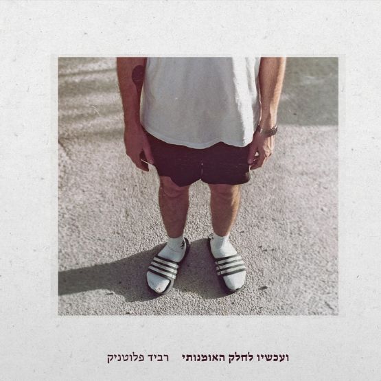 רביד פלוטניק – ועכשיו לחלק האומנותי | תקליט כפול
