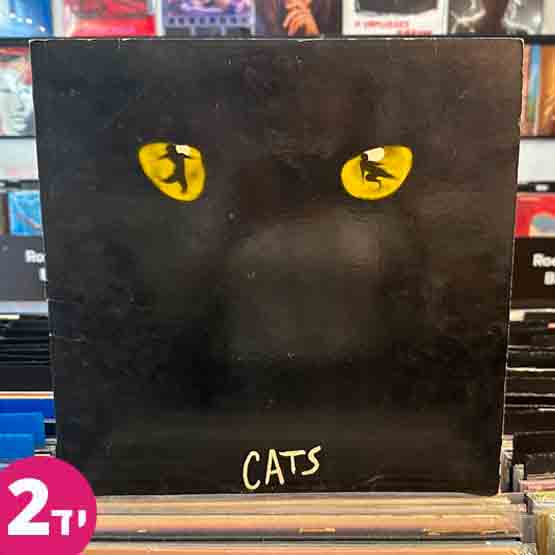 Cats
