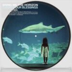 Count Your Blessings Repented (Picture Disc)