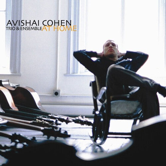 Avishai Cohen Trio At Home