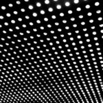 Beach House Bloom