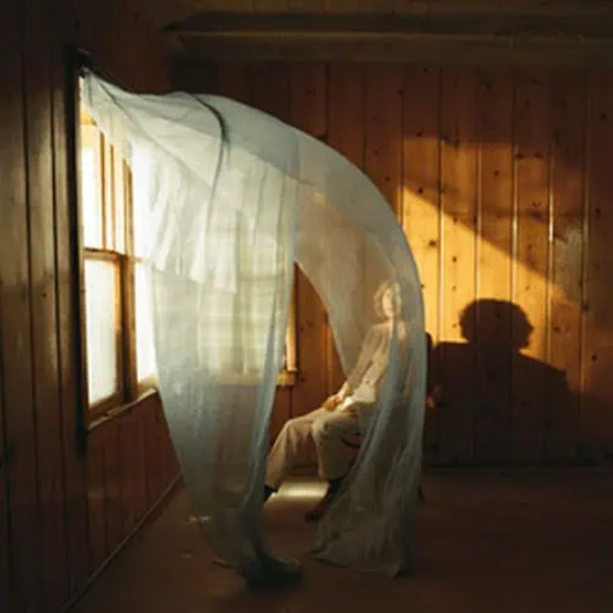 Beck – Ride Lonesome