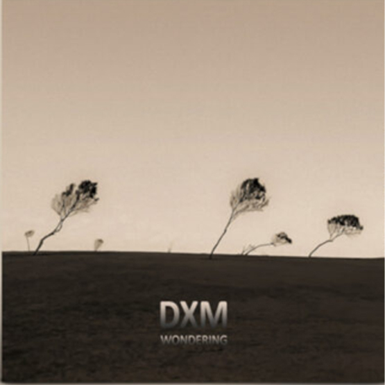 DXM – Wondering