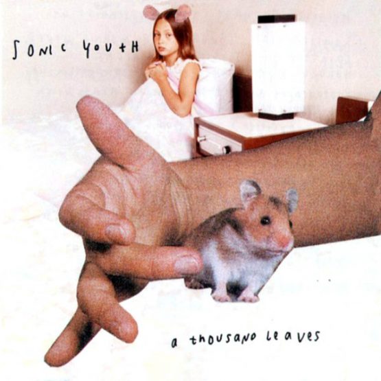 Sonic Youth / A Thousand Leaves