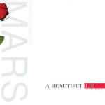 Thirty Seconds To Mars / A Beautiful Lie