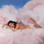 Katy Perry - Teenage Dream 2LP