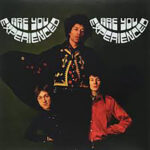 Jimi Hendrix Experience - Are You Experienced-2LP