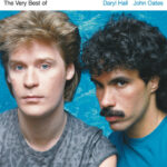 Hall Daryl/Oates John - The Very Best Of Daryl Hall John Oates 2LP