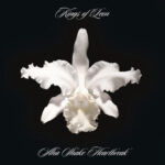 Kings Of Leon - Aha Shake Heartbreak 2LP