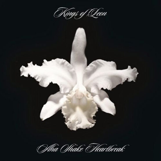 Kings Of Leon - Aha Shake Heartbreak 2LP